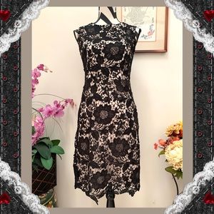 NY&C Crochet Lace Overlay Shift Dress